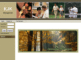 kjkcm.com