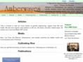 amberwaves.org