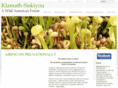 awildamericanforest.org