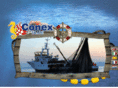 conex-trade.com