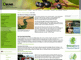 gruenes-band.net