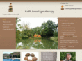 hypnotherapybalance.com