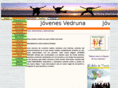 jovenesvedruna.org