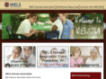 welsnurses.net