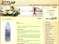 alozin.com