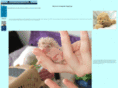 chesapeakehedgehogs.com
