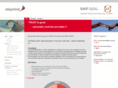 erp-security.com