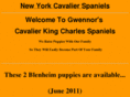newyorkcavalierspaniels.com