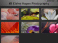 elainehagen.com
