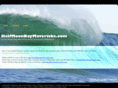 halfmoonbaymavericks.com