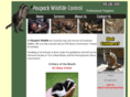paupackwildlifecontrol.com