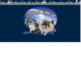 skybankcattery.com