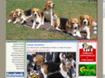 beagleperu.com