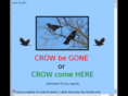 crowbegone.com