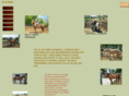 okcorraltexas.com