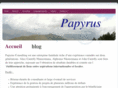 papyrusconsulting.com