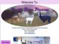 purplehazealpacas.com