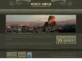 rockcitytours.com