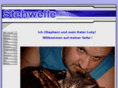 stehwelle.com