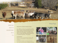 walnuthollowfarms.com