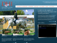 dhiperformancehorses.com