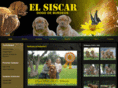 elsiscar.net