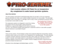 pyro-sentinel.com