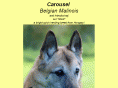 carouselmalinois.com