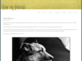 furinfocusblog.com