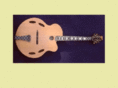 gruenacousticguitars.com