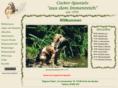 jagdspaniels.com