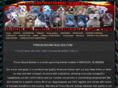 prisonboundbullies.com