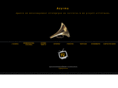 azyrma.com