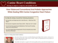 canineheartconditions.com