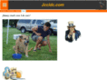 jccidc.com