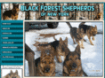 blackforestshepherds.net