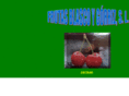 frutasblascoygorriz.com