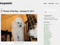 kaupasetic.com