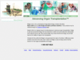 bridgetolifesolutions.com