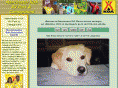 manchesterkoa.com
