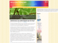 roligapengar.com