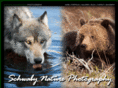 schwabynature.com