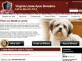 virginialhasaapsobreeders.com