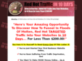 internetmarketingplatinum.com