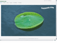 daerong.com