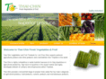 thaichin.com