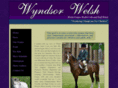 wyndsorwelsh.com