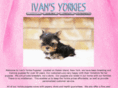 yorkienewyork.com