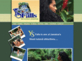 ysfalls.com