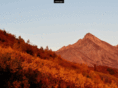 alaska-channel.com